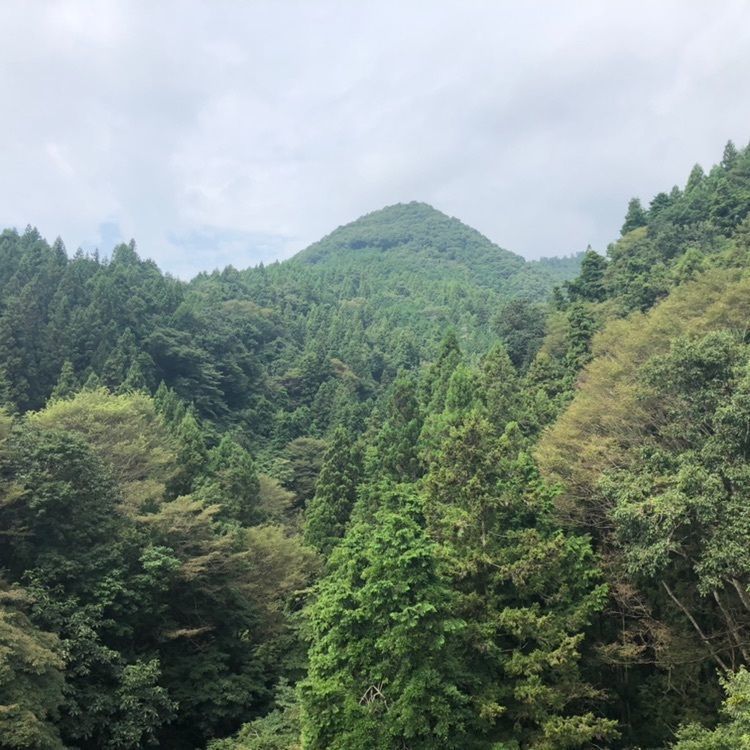 タッキーさんが投稿した上野原市に関する口コミの画像