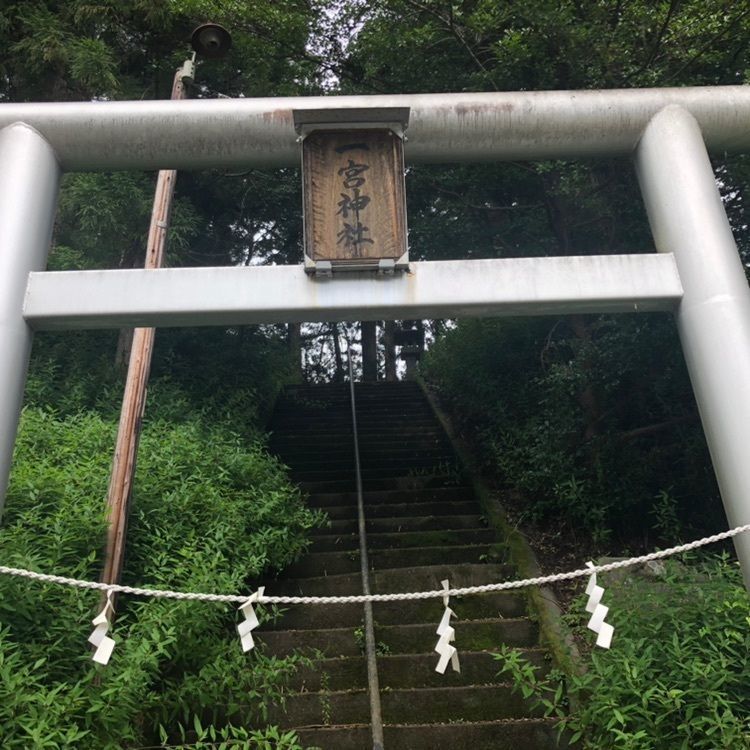 タッキーさんが投稿した一宮神社の社叢に関する口コミの画像