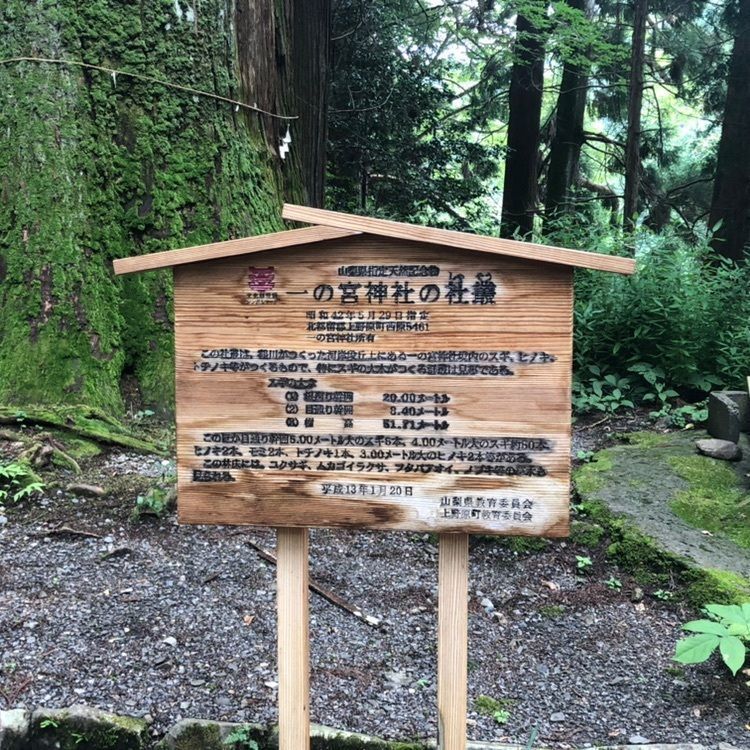 タッキーさんが投稿した一宮神社の社叢に関する口コミの画像
