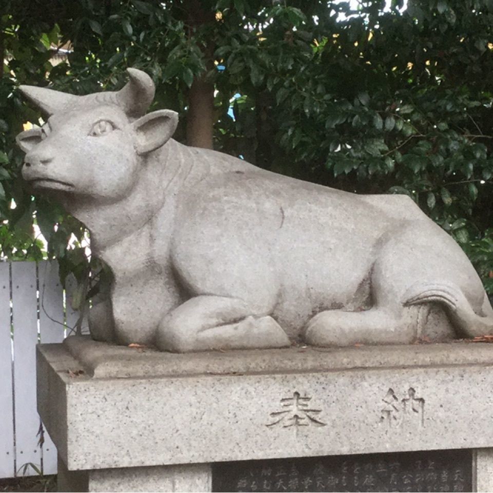 なんさんが投稿した小平神明宮に関する口コミの画像