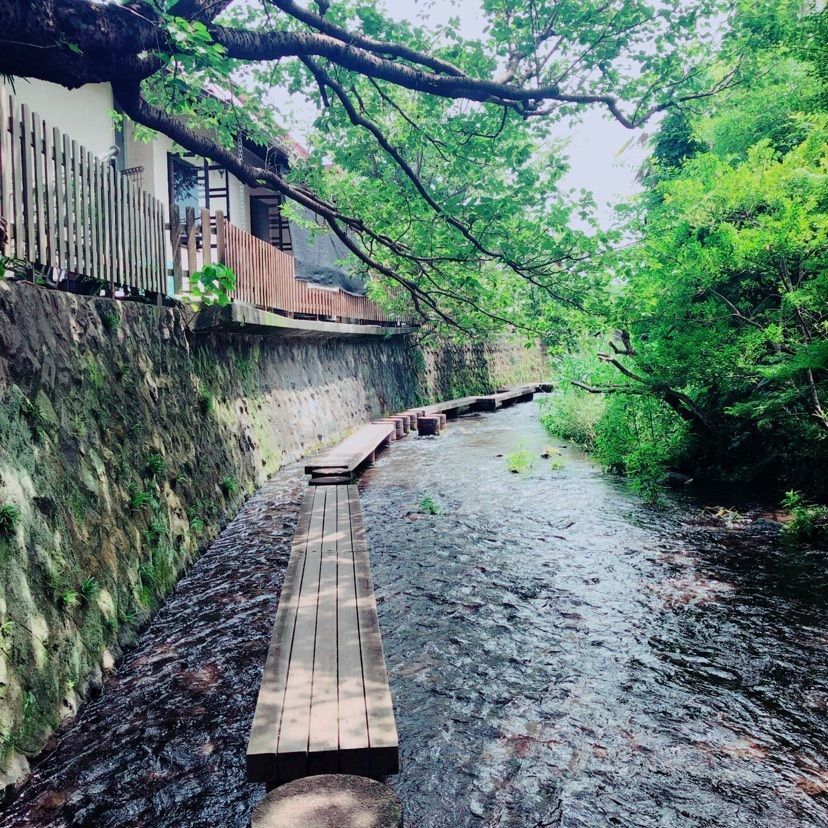 #夏 #おでかけ #源兵衛川 #冷たくて涼しい