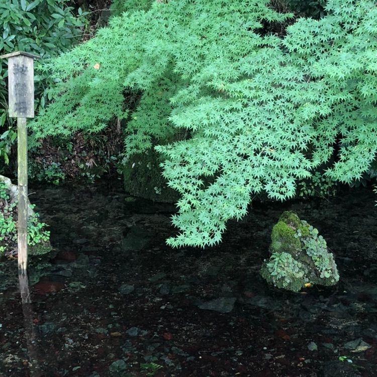じゅんさんが投稿した醒井宿資料館(旧醒井郵便局局舎)に関する口コミの画像