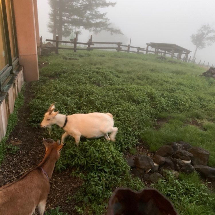 hiroppe•Kさんが投稿したありね山荘に関する口コミの画像