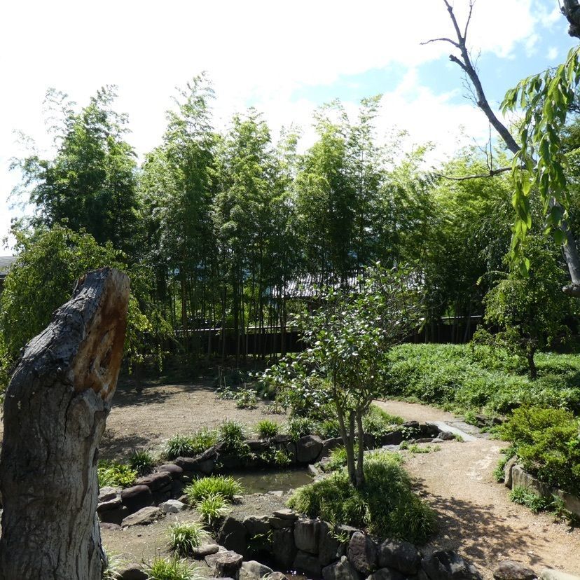 しゃんぽんさんが投稿した旧樋口家住宅に関する口コミの画像