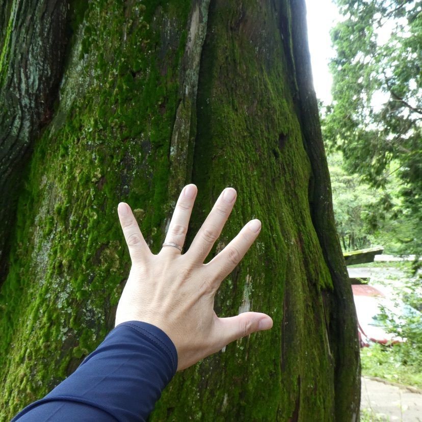 しゃんぽんさんが投稿した戸隠神社火之御子社に関する口コミの画像