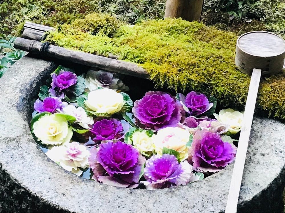 Merryさんが投稿した柳谷観音楊谷寺に関する口コミの画像
