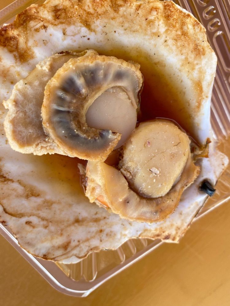 たつさんが投稿したお食事処 魚一に関する口コミの画像