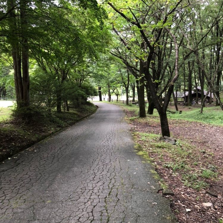 1027piさんが投稿したみどりの村キャンプ場に関する口コミの画像