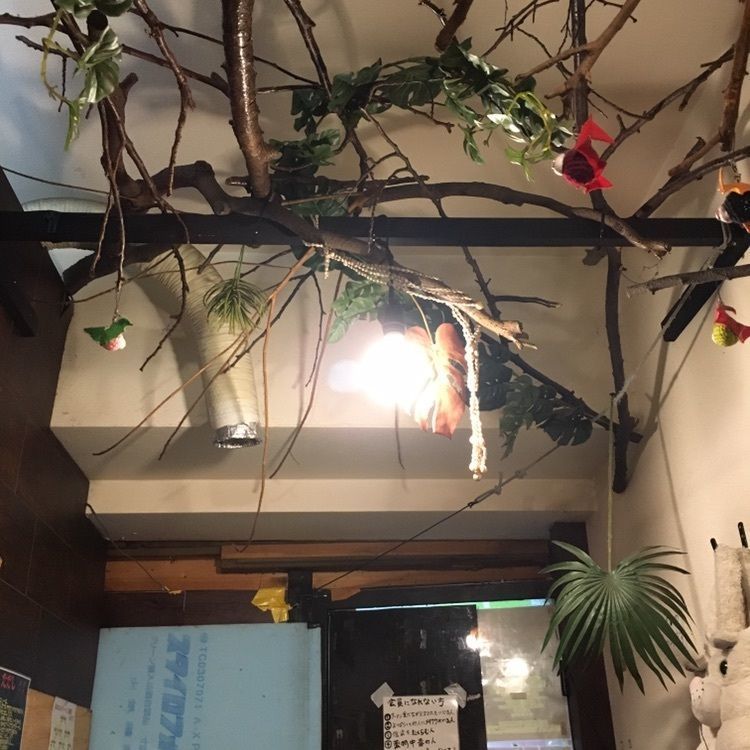 けんけんさんが投稿した世界の龍ちゃんよしき坊に関する口コミの画像