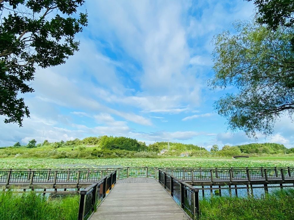 Musashiさんが投稿した平筒沼ふれあい公園に関する口コミの画像