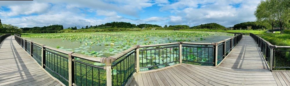 Musashiさんが投稿した平筒沼ふれあい公園に関する口コミの画像