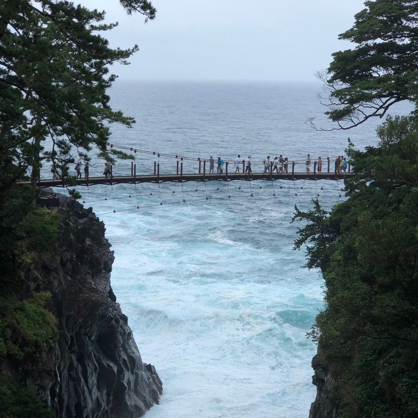 #静岡県 #伊豆