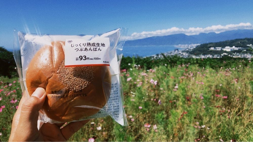 ホンキートンクさんが投稿した吾妻神社に関する口コミの画像