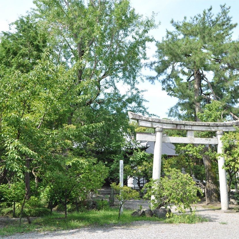 makiさんが投稿した舎那院に関する口コミの画像