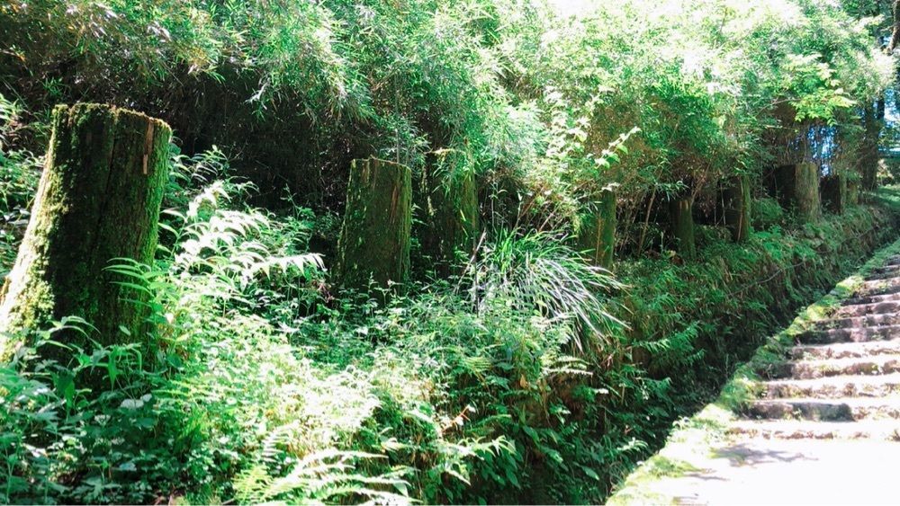 ホンキートンクさんが投稿した箱根遊船に関する口コミの画像