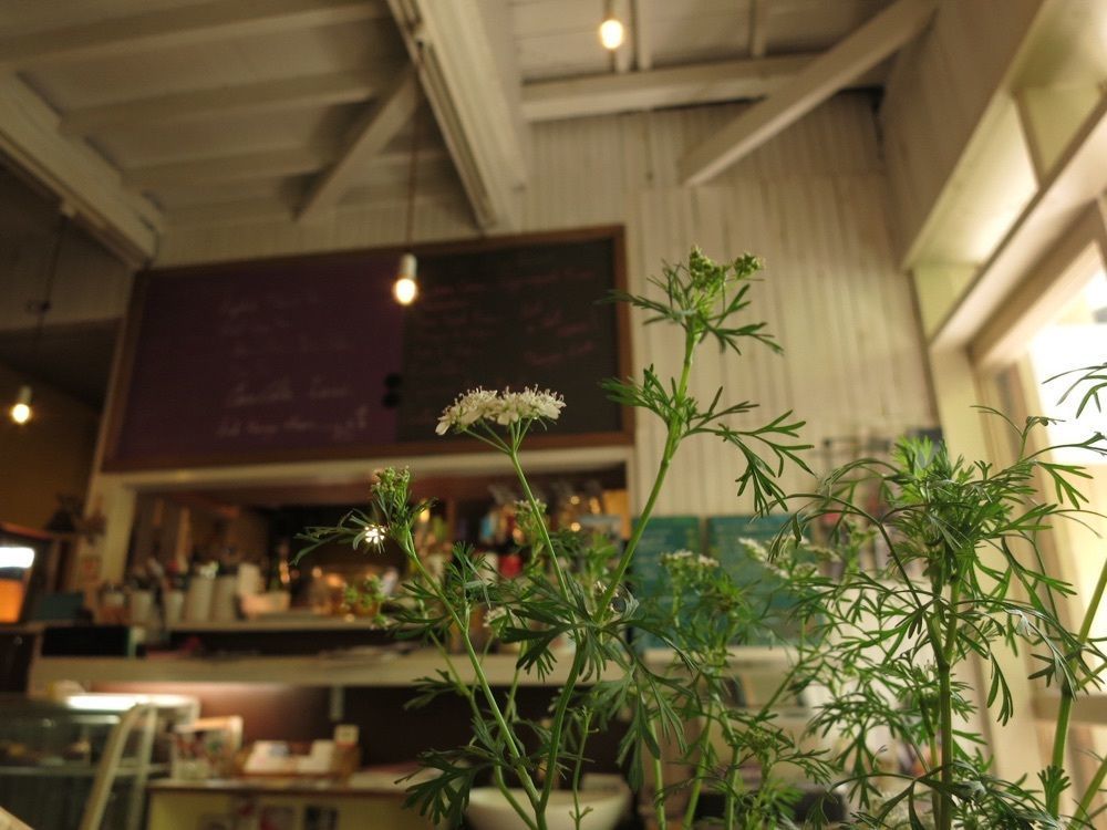 merryさんが投稿したワンダーキッチン（WanderKitchen）に関する口コミの画像