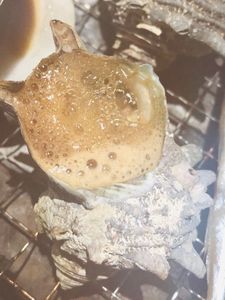 茜屋 すしぎん 西川田店