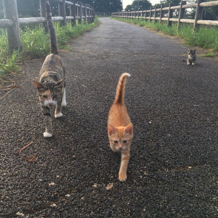 やすひこさんが投稿した国見湖畔公園に関する口コミの画像