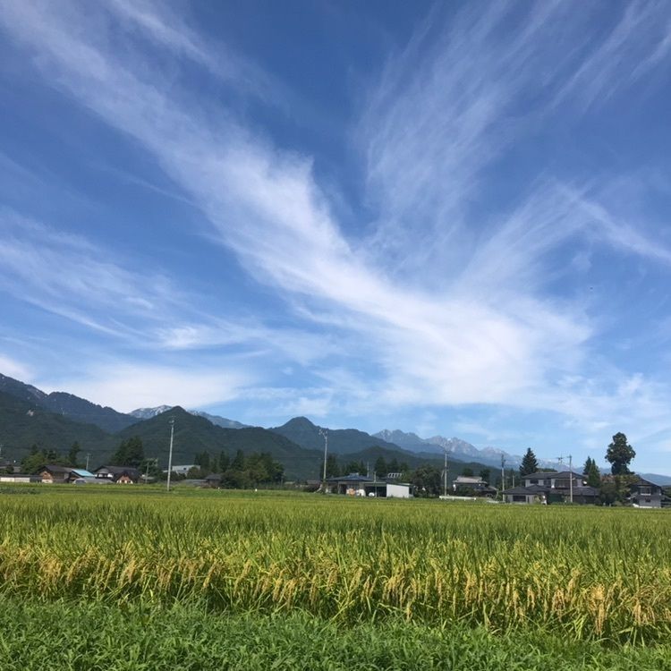 ぷにさんが投稿した安曇野ちひろ美術館に関する口コミの画像
