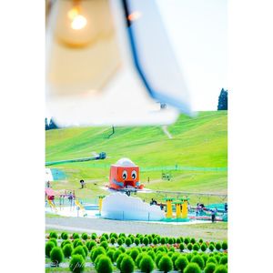 びわこ箱館山 6枚目