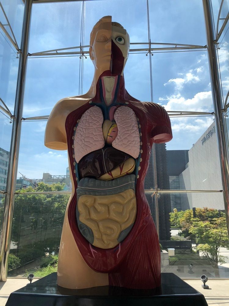 surumeさんが投稿したユガネ 明洞1号店に関する口コミの画像