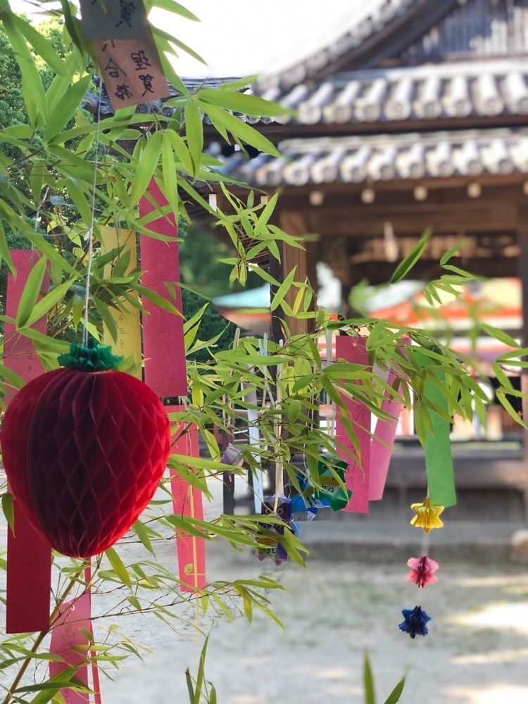 nicanさんが投稿した住吉神社（兵庫県明石市）に関する口コミの画像