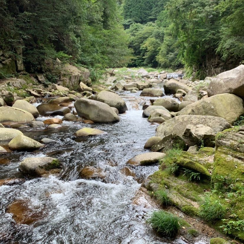 さくらさんが投稿した奥津温泉 般若寺温泉（ハンニャジオンセン）に関する口コミの画像