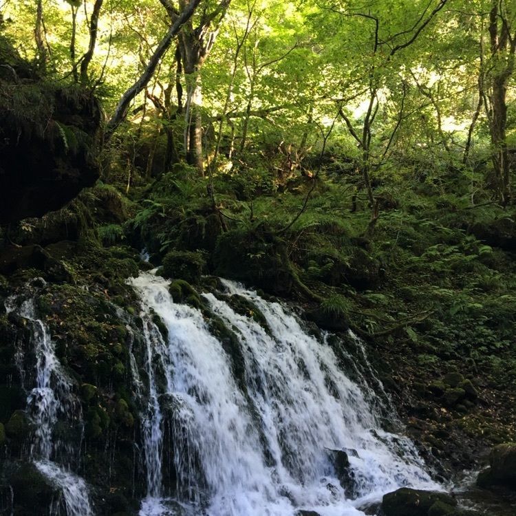 kevizoo108さんが投稿した鳥海山の紅葉に関する口コミの画像