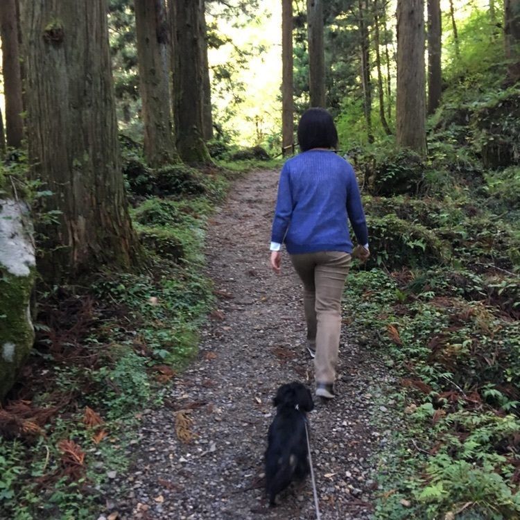 kevizoo108さんが投稿した鳥海山の紅葉に関する口コミの画像