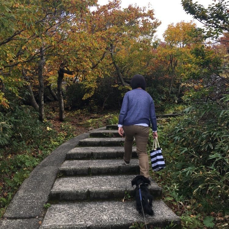 kevizoo108さんが投稿した鳥海山の紅葉に関する口コミの画像
