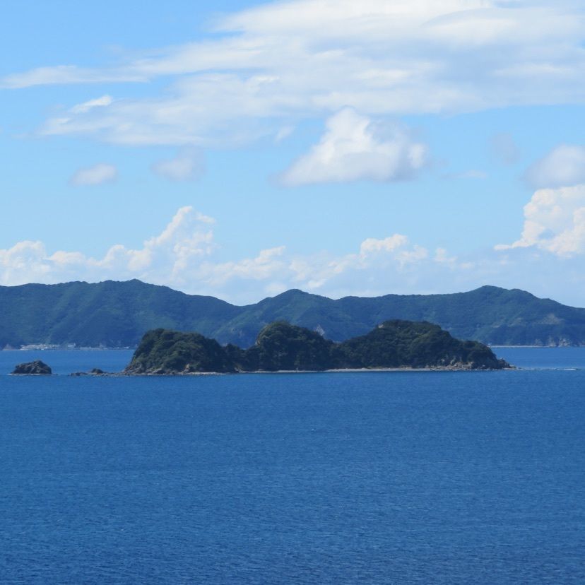 メリーさんが投稿した愛南町に関する口コミの画像