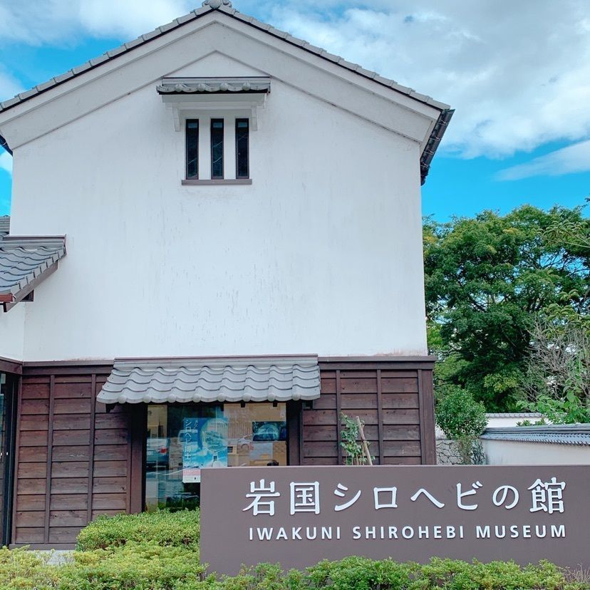 鉄道こまちさんが投稿した岩国シロヘビの館に関する口コミの画像