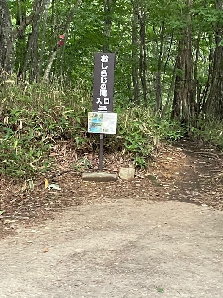 マウンテンゴリラさんが投稿したおしらじの滝に関する口コミの画像