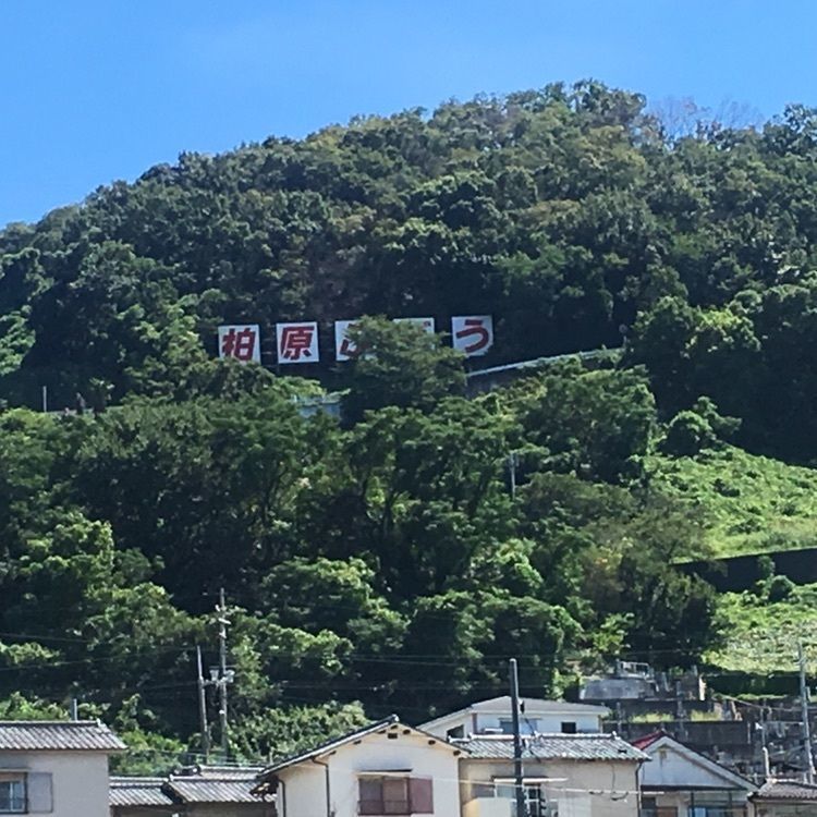 ぴーちゃんさんが投稿した柏原市観光ぶどうセンターに関する口コミの画像