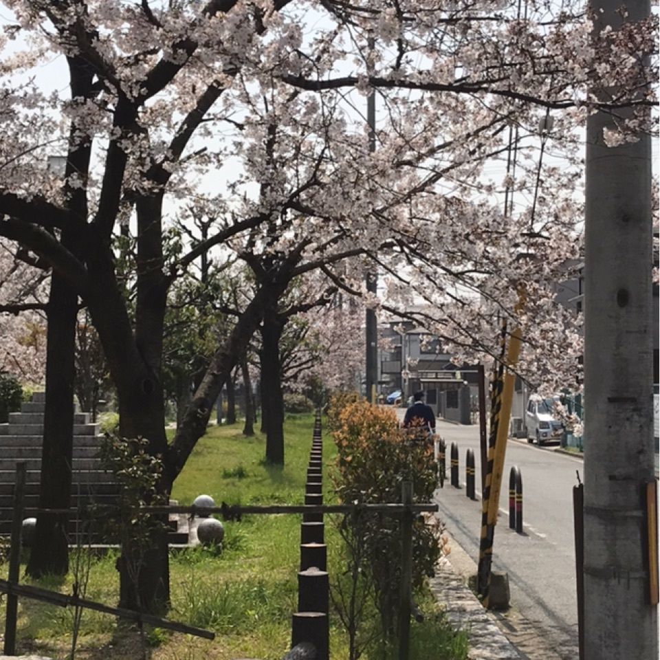 emotional_landscape_fd5dさんが投稿した土塔に関する口コミの画像