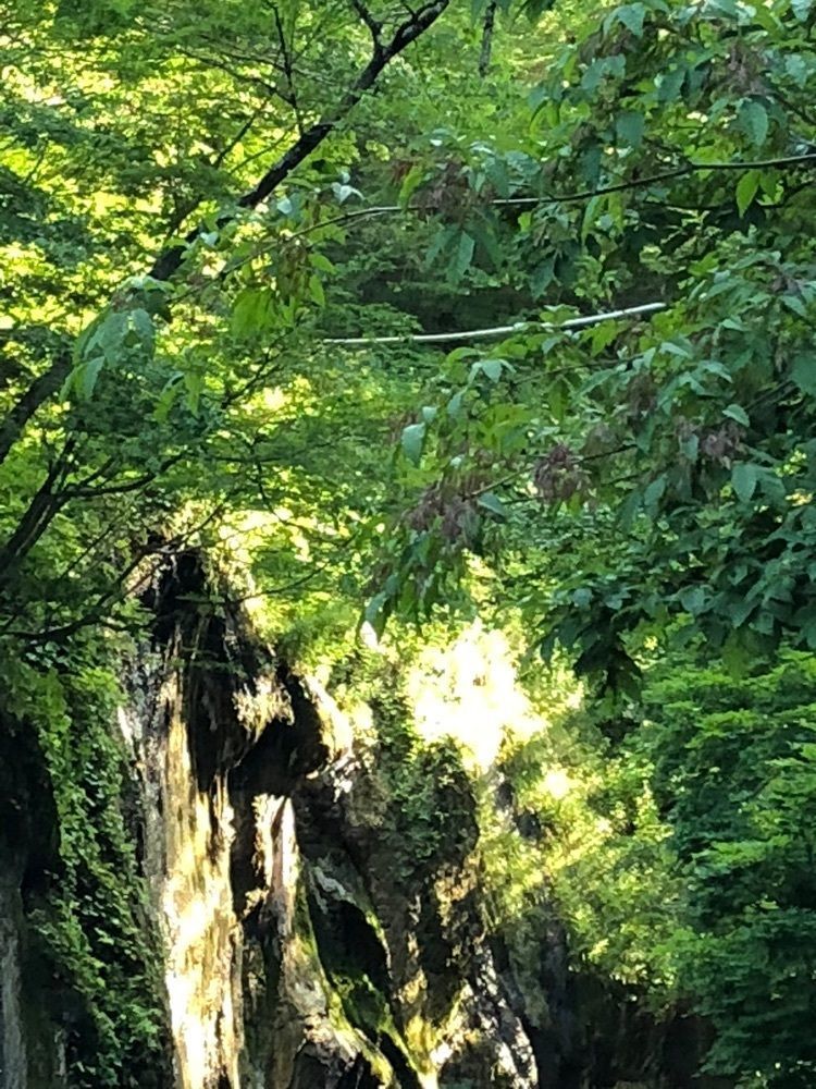 teruteru  sanpoさんが投稿した元湯夏油（モトユゲトウ）に関する口コミの画像