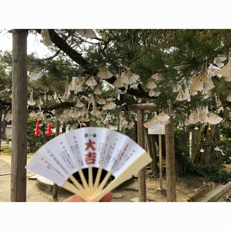 akariさんが投稿した天橋立に関する口コミの画像