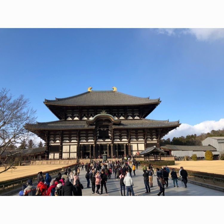 akariさんが投稿した東大寺に関する口コミの画像