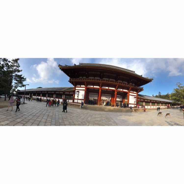akariさんが投稿した東大寺に関する口コミの画像