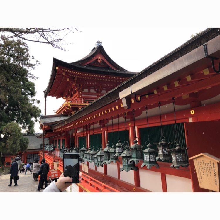 akariさんが投稿した春日大社に関する口コミの画像