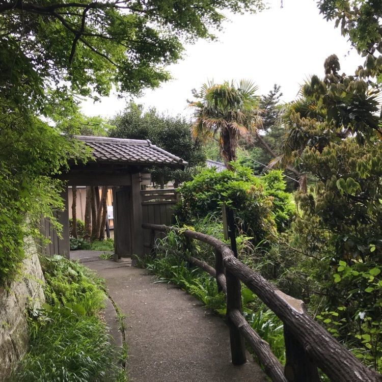 0323MSTさんが投稿した蘆花記念公園に関する口コミの画像