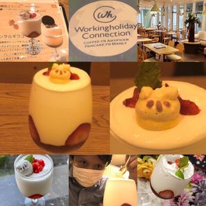 ワーキングホリデー・コネクション 原宿・表参道 YMスクエア店