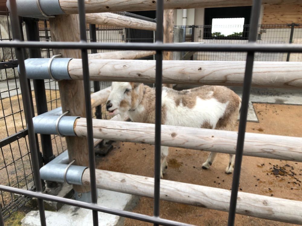 fumiさんが投稿した大島公園動物園に関する口コミの画像