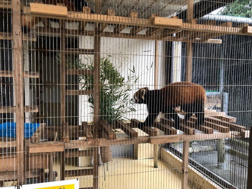 fumiさんが投稿した大島公園動物園に関する口コミの画像