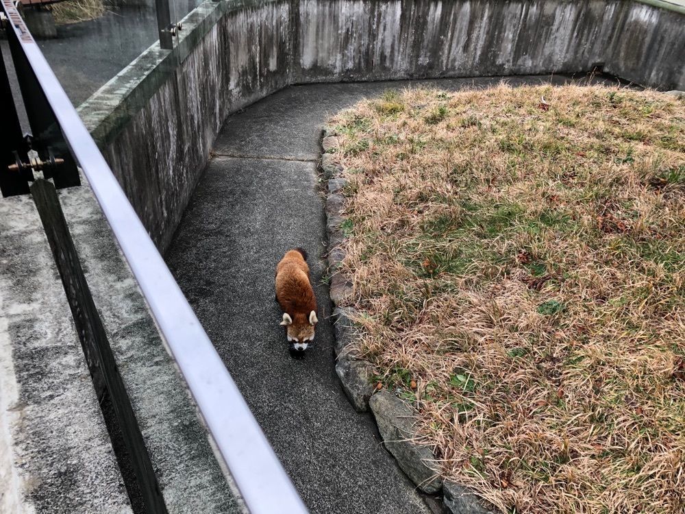 fumiさんが投稿した大島公園動物園に関する口コミの画像