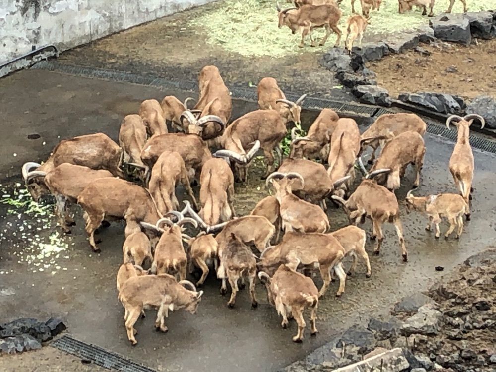 fumiさんが投稿した大島公園動物園に関する口コミの画像