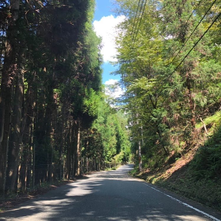 タッキーさんが投稿した因幡街道に関する口コミの画像