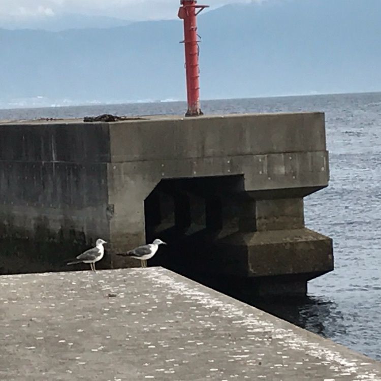 ぷにさんが投稿したルポール粟島に関する口コミの画像
