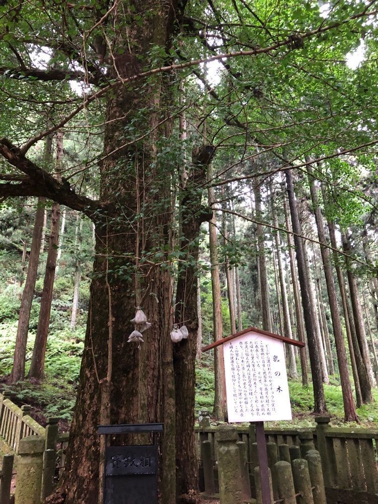 雲霧さんが投稿した青玉神社に関する口コミの画像