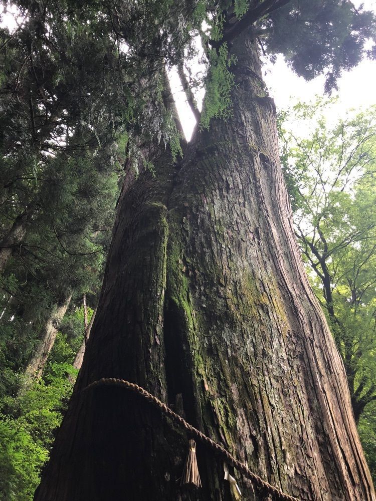 雲霧さんが投稿した青玉神社に関する口コミの画像